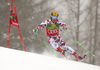 Marcel Hirscher of Austria skiing in the first run of the men giant slalom race of Audi FIS Alpine skiing World cup in Kranjska Gora, Slovenia. Men giant slalom race of Audi FIS Alpine skiing World cup, was held in Kranjska Gora, Slovenia, on Saturday, 5th of March 2016.
