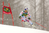 Alexis Pinturault of France skiing in the first run of the men giant slalom race of Audi FIS Alpine skiing World cup in Kranjska Gora, Slovenia. Men giant slalom race of Audi FIS Alpine skiing World cup, was held in Kranjska Gora, Slovenia, on Saturday, 5th of March 2016.
