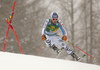 Fritz Dopfer of Germany skiing in the first run of the men giant slalom race of Audi FIS Alpine skiing World cup in Kranjska Gora, Slovenia. Men giant slalom race of Audi FIS Alpine skiing World cup, was held in Kranjska Gora, Slovenia, on Saturday, 5th of March 2016.
