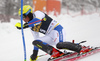 Mattias Hargin of Sweden skiing in the first run of the men slalom race of Audi FIS Alpine skiing World cup in Kranjska Gora, Slovenia. Men slalom race of Audi FIS Alpine skiing World cup, was held in Kranjska Gora, Slovenia, on Sunday, 6th of March 2016.
