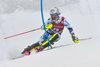 Manuel Feller of Austria in action during 1st run of mens Slalom of FIS ski alpine world cup at the Black Race Course in Levi, Finland on 2016/11/13.
