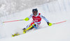 Krystof Kryzl of Czech Republic in action during 1st run of mens Slalom of FIS ski alpine world cup at the Black Race Course in Levi, Finland on 2016/11/13.
