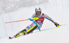 Linus Strasser of Germany in action during 1st run of mens Slalom of FIS ski alpine world cup at the Black Race Course in Levi, Finland on 2016/11/13.
