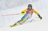 Kristoffer Jakobsen of Sweden in action during 1st run of mens Slalom of FIS ski alpine world cup at the Black Race Course in Levi, Finland on 2016/11/13.
