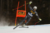 Fourth placed Adrien Theaux of France skiing in the men downhill race of the Audi FIS Alpine skiing World cup in Val Gardena, Italy. Men downhill race of the Audi FIS Alpine skiing World cup, was held on Saslong course in Val Gardena, Italy, on Saturday, 17th of December 2016.
