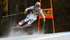 Andreas Sander of Germany skiing in the men downhill race of the Audi FIS Alpine skiing World cup in Val Gardena, Italy. Men downhill race of the Audi FIS Alpine skiing World cup, was held on Saslong course in Val Gardena, Italy, on Saturday, 17th of December 2016.
