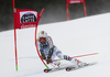 Stefan Luitz of Germany skiing in the first run of the men giant slalom race of the Audi FIS Alpine skiing World cup in Alta Badia, Italy. Men giant slalom race of the Audi FIS Alpine skiing World cup, was held on Gran Risa course in Alta Badia, Italy, on Sunday, 18th of December 2016.
