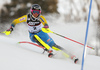 Frida Hansdotter of Sweden skiing in the first run of the women slalom race of the Audi FIS Alpine skiing World cup in Zagreb, Croatia. Women Snow Queen trophy slalom race of the Audi FIS Alpine skiing World cup, was held on Sljeme above Zagreb, Croatia, on Tuesday, 3rd of January 2017.
