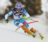 Sarka Strachova of Czech skiing in the first run of the women slalom race of the Audi FIS Alpine skiing World cup in Zagreb, Croatia. Women Snow Queen trophy slalom race of the Audi FIS Alpine skiing World cup, was held on Sljeme above Zagreb, Croatia, on Tuesday, 3rd of January 2017.
