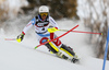 Wendy Holdener of Switzerland skiing in the first run of the women slalom race of the Audi FIS Alpine skiing World cup in Zagreb, Croatia. Women Snow Queen trophy slalom race of the Audi FIS Alpine skiing World cup, was held on Sljeme above Zagreb, Croatia, on Tuesday, 3rd of January 2017.
