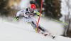 Petra Vlhova of Slovakia skiing in the first run of the women slalom race of the Audi FIS Alpine skiing World cup in Zagreb, Croatia. Women Snow Queen trophy slalom race of the Audi FIS Alpine skiing World cup, was held on Sljeme above Zagreb, Croatia, on Tuesday, 3rd of January 2017.
