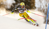 Marie-Michele Gagnon of Canada skiing in the first run of the women slalom race of the Audi FIS Alpine skiing World cup in Zagreb, Croatia. Women Snow Queen trophy slalom race of the Audi FIS Alpine skiing World cup, was held on Sljeme above Zagreb, Croatia, on Tuesday, 3rd of January 2017.
