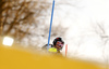 Erin Mielzynski of Canada skiing in the first run of the women slalom race of the Audi FIS Alpine skiing World cup in Zagreb, Croatia. Women Snow Queen trophy slalom race of the Audi FIS Alpine skiing World cup, was held on Sljeme above Zagreb, Croatia, on Tuesday, 3rd of January 2017.
