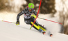 Chiara Costazza of Italy skiing in the first run of the women slalom race of the Audi FIS Alpine skiing World cup in Zagreb, Croatia. Women Snow Queen trophy slalom race of the Audi FIS Alpine skiing World cup, was held on Sljeme above Zagreb, Croatia, on Tuesday, 3rd of January 2017.
