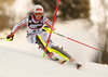 Christina Geiger of Germany skiing in the first run of the women slalom race of the Audi FIS Alpine skiing World cup in Zagreb, Croatia. Women Snow Queen trophy slalom race of the Audi FIS Alpine skiing World cup, was held on Sljeme above Zagreb, Croatia, on Tuesday, 3rd of January 2017.
