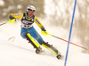 Anna Swenn-Larsson of Sweden skiing in the first run of the women slalom race of the Audi FIS Alpine skiing World cup in Zagreb, Croatia. Women Snow Queen trophy slalom race of the Audi FIS Alpine skiing World cup, was held on Sljeme above Zagreb, Croatia, on Tuesday, 3rd of January 2017.
