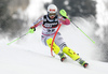 Elisabeth Willibald of Germany skiing in the first run of the women slalom race of the Audi FIS Alpine skiing World cup in Zagreb, Croatia. Women Snow Queen trophy slalom race of the Audi FIS Alpine skiing World cup, was held on Sljeme above Zagreb, Croatia, on Tuesday, 3rd of January 2017.
