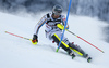 Dominik Stehle of Germany skiing in the first run of the men slalom race of the Audi FIS Alpine skiing World cup in Zagreb, Croatia. Men Snow Queen trophy slalom race of the Audi FIS Alpine skiing World cup, was held on Sljeme above Zagreb, Croatia, on Thursday, 5th of January 2017.
