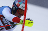 Daniel Yule of Switzerland skiing in the first run of the men slalom race of the Audi FIS Alpine skiing World cup in Zagreb, Croatia. Men Snow Queen trophy slalom race of the Audi FIS Alpine skiing World cup, was held on Sljeme above Zagreb, Croatia, on Thursday, 5th of January 2017.
