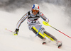 Linus Strasser of Germany skiing in the first run of the men slalom race of the Audi FIS Alpine skiing World cup in Zagreb, Croatia. Men Snow Queen trophy slalom race of the Audi FIS Alpine skiing World cup, was held on Sljeme above Zagreb, Croatia, on Thursday, 5th of January 2017.
