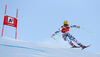 Max Franz of Austria skiing in men super-g race of the Audi FIS Alpine skiing World cup in Kitzbuehel, Austria. Men super-g race of the Audi FIS Alpine skiing World cup, was held on Hahnekamm course in Kitzbuehel, Austria, on Friday, 20th of January 2017.
