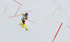 Second placed Dave Ryding of Great Britain skiing in the second run of the men slalom race of the Audi FIS Alpine skiing World cup in Kitzbuehel, Austria. Men slalom race race of the Audi FIS Alpine skiing World cup, was held on Ganslernhang course in Kitzbuehel, Austria, on Sunday, 22nd of January 2017.
