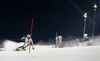 Felix Neureuther of Germany skiing in the first run of the men slalom race of the Audi FIS Alpine skiing World cup in Schladming, Austria. Traditional The Night Race, men slalom race race of the Audi FIS Alpine skiing World cup, was held in Schladming, Austria, on Tuesday, 24th of January 2017.
