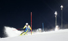 Anton Lahdenperae of Sweden skiing in the first run of the men slalom race of the Audi FIS Alpine skiing World cup in Schladming, Austria. Traditional The Night Race, men slalom race race of the Audi FIS Alpine skiing World cup, was held in Schladming, Austria, on Tuesday, 24th of January 2017.
