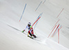 Luca Aerni of Switzerland skiing in the  second run of the men slalom race of the Audi FIS Alpine skiing World cup in Schladming, Austria. Traditional The Night Race, men slalom race race of the Audi FIS Alpine skiing World cup, was held in Schladming, Austria, on Tuesday, 24th of January 2017.
