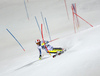 Linus Strasser of Germany skiing in the  second run of the men slalom race of the Audi FIS Alpine skiing World cup in Schladming, Austria. Traditional The Night Race, men slalom race race of the Audi FIS Alpine skiing World cup, was held in Schladming, Austria, on Tuesday, 24th of January 2017.
