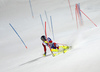 Dave Ryding of Great Britain skiing in the  second run of the men slalom race of the Audi FIS Alpine skiing World cup in Schladming, Austria. Traditional The Night Race, men slalom race race of the Audi FIS Alpine skiing World cup, was held in Schladming, Austria, on Tuesday, 24th of January 2017.
