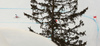 Ralph Weber of Switzerland skiing in the men downhill race of the Audi FIS Alpine skiing World cup in Garmisch-Partenkirchen, Germany. Replacement downhill race for canceled Wengen race of the Audi FIS Alpine skiing World cup, was held in Garmisch-Partenkirchen, Germany, on Friday, 27th of January 2017.
