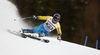 Matts Olsson of Sweden skiing in the first run of the men giant slalom race of the Audi FIS Alpine skiing World cup in Garmisch-Partenkirchen, Germany. Men giant slalom race of the Audi FIS Alpine skiing World cup, was held in Garmisch-Partenkirchen, Germany, on Sunday, 29th of January 2017.
