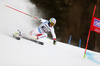 Gino Caviezel of Switzerland skiing in the first run of the men giant slalom race of the Audi FIS Alpine skiing World cup in Garmisch-Partenkirchen, Germany. Men giant slalom race of the Audi FIS Alpine skiing World cup, was held in Garmisch-Partenkirchen, Germany, on Sunday, 29th of January 2017.
