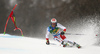 Elia Zurbriggen of Switzerland skiing in the first run of the men giant slalom race of the Audi FIS Alpine skiing World cup in Kranjska Gora, Slovenia. Men giant slalom race of the Audi FIS Alpine skiing World cup, was held in Kranjska Gora, Slovenia, on Saturday, 4th of March 2017.
