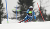 Henrik Kristoffersen of Norway skiing in the first run of the men slalom race of the Audi FIS Alpine skiing World cup in Kranjska Gora, Slovenia. Men slalom race of the Audi FIS Alpine skiing World cup, was held in Kranjska Gora, Slovenia, on Sunday, 5th of March 2017.
