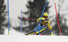 Mattias Hargin of Sweden skiing in the first run of the men slalom race of the Audi FIS Alpine skiing World cup in Kranjska Gora, Slovenia. Men slalom race of the Audi FIS Alpine skiing World cup, was held in Kranjska Gora, Slovenia, on Sunday, 5th of March 2017.
