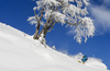 Ski touring in Nassfeld, Austria, on sunny Tuesday, 14th of November 2017, after mountains around Nassfeld got 30cm of fresh dry powder.
