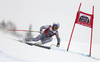 Alexis Pinturault of France skiing in the men super-g race of the Audi FIS Alpine skiing World cup in Val Gardena, Italy. Men super-g race of the Audi FIS Alpine skiing World cup, was held on Saslong course in Val Gardena Groeden, Italy, on Friday, 15th of December 2017.
