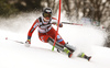 Maren Skjoeld of Norway skiing in the first run of the women Snow Queen Trophy slalom race of the Audi FIS Alpine skiing World cup in Zagreb, Croatia. Women slalom race of the Audi FIS Alpine skiing World cup, was held on Sljeme above Zagreb, Croatia, on Wednesday, 3rd of January 2018.
