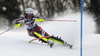 Anna Swenn Larsson of Sweden skiing in the first run of the women Snow Queen Trophy slalom race of the Audi FIS Alpine skiing World cup in Zagreb, Croatia. Women slalom race of the Audi FIS Alpine skiing World cup, was held on Sljeme above Zagreb, Croatia, on Wednesday, 3rd of January 2018.
