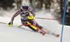 Estelle Alphand of Sweden skiing in the first run of the women Snow Queen Trophy slalom race of the Audi FIS Alpine skiing World cup in Zagreb, Croatia. Women slalom race of the Audi FIS Alpine skiing World cup, was held on Sljeme above Zagreb, Croatia, on Wednesday, 3rd of January 2018.
