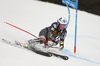 Tina Weirather of Liechtenstein skiing in the first run of the women Golden Fox Trophy giant slalom race of the Audi FIS Alpine skiing World cup in Kranjska Gora, Slovenia. Women giant slalom race of the Audi FIS Alpine skiing World cup, which should be held in Maribor, was due lack of snow and warm temperatures transferred to Kranjska Gora, was held in Kranjska Gora, Slovenia, on Saturday, 6th of January 2018.
