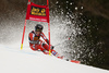 Kristin Lysdahl of Norway skiing in the first run of the women Golden Fox Trophy giant slalom race of the Audi FIS Alpine skiing World cup in Kranjska Gora, Slovenia. Women giant slalom race of the Audi FIS Alpine skiing World cup, which should be held in Maribor, was due lack of snow and warm temperatures transferred to Kranjska Gora, was held in Kranjska Gora, Slovenia, on Saturday, 6th of January 2018.
