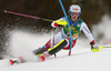 Melanie Meillard of Switzerland skiing in the first run of the women Golden Fox Trophy slalom race of the Audi FIS Alpine skiing World cup in Kranjska Gora, Slovenia. Women slalom race of the Audi FIS Alpine skiing World cup, which should be held in Maribor, was due lack of snow and warm temperatures transferred to Kranjska Gora, was held in Kranjska Gora, Slovenia, on Sunday, 7th of January 2018.
