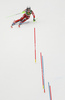 Nina Haver-Loeseth of Norway skiing in the second run of the women Golden Fox Trophy slalom race of the Audi FIS Alpine skiing World cup in Kranjska Gora, Slovenia. Women slalom race of the Audi FIS Alpine skiing World cup, which should be held in Maribor, was due lack of snow and warm temperatures transferred to Kranjska Gora, was held in Kranjska Gora, Slovenia, on Sunday, 7th of January 2018.
