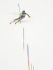 Frida Hansdotter of Sweden skiing in the second run of the women Golden Fox Trophy slalom race of the Audi FIS Alpine skiing World cup in Kranjska Gora, Slovenia. Women slalom race of the Audi FIS Alpine skiing World cup, which should be held in Maribor, was due lack of snow and warm temperatures transferred to Kranjska Gora, was held in Kranjska Gora, Slovenia, on Sunday, 7th of January 2018.
