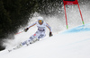 Alexander Schmid of Germany skiing in the first run of the men giant slalom race of the Audi FIS Alpine skiing World cup in Garmisch-Partenkirchen, Germany. Men giant slalom race of the Audi FIS Alpine skiing World cup was held on Kandahar track in Garmisch-Partenkirchen, Germany, on Sunday, 28th of January 2018.
