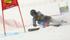 Magdalena Fjaellstroem of Sweden skiing in the first run of the women giant slalom race of the Audi FIS Alpine skiing World cup in Soelden, Austria. First women race of the Audi FIS Alpine skiing World cup season 2018-2019 was held on Rettenbach glacier above Soelden, Austria, on Saturday, 27th of October 2018.
