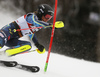 Anna Swenn Larsson of Sweden skiing in the first run of the women slalom race of the Audi FIS Alpine skiing World cup on Sljeme above Zagreb, Croatia. Women slalom race of the Audi FIS Alpine skiing World cup season 2018-2019 was held on Sljeme above Zagreb, Croatia, on Saturday, 5thth of January 2019.
